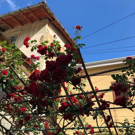 Apartmani Banina Ika Esterno foto