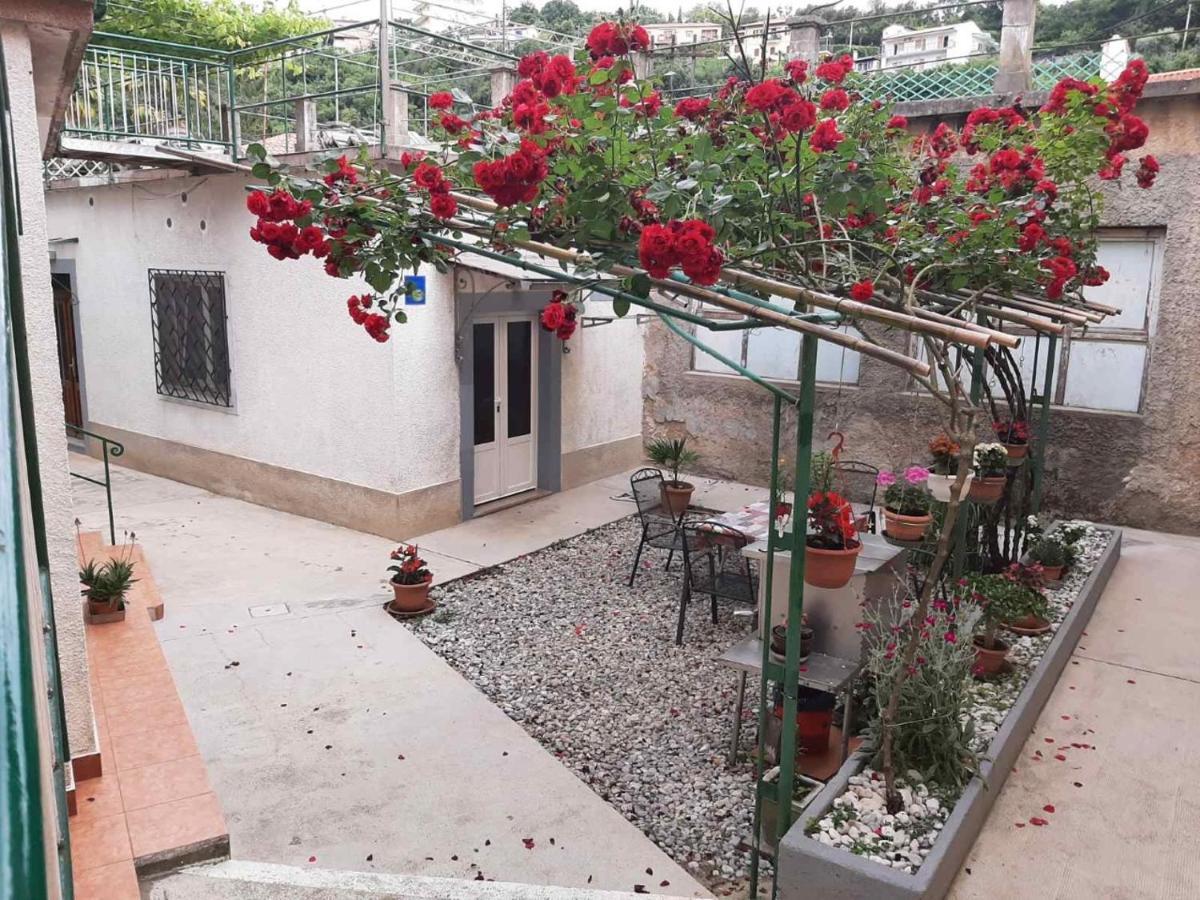 Apartmani Banina Ika Esterno foto