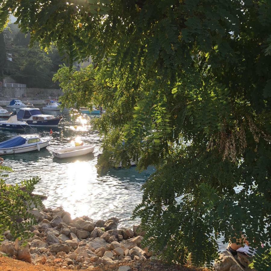 Apartmani Banina Ika Esterno foto